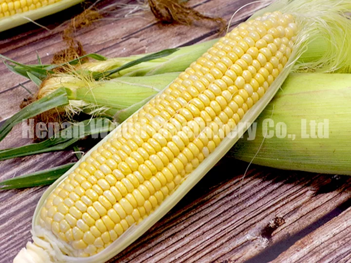 corn