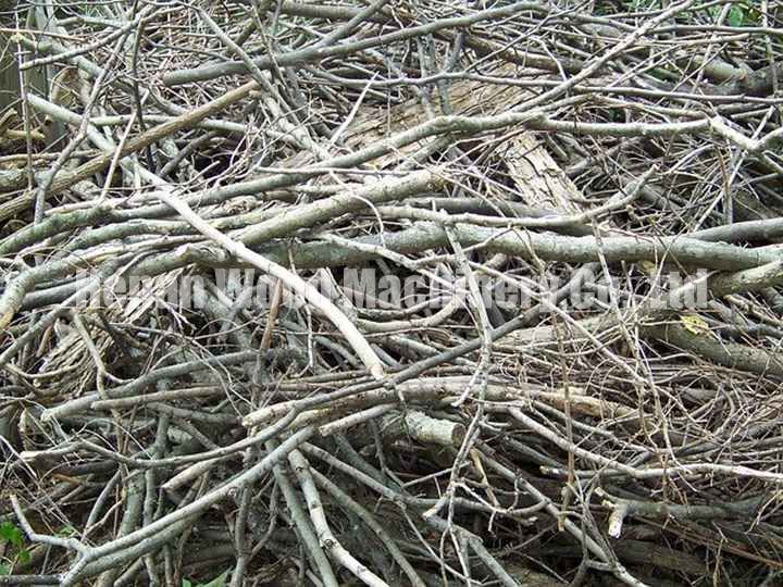 Branches de bois