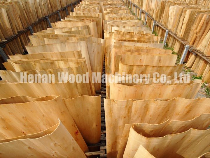 Paper-making-needs-the-debarked-wood