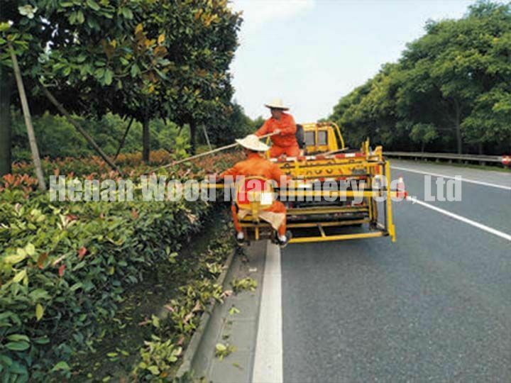 road tree maintenance