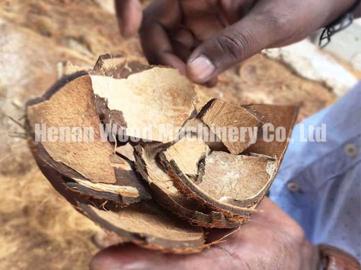 Turning Waste Coconut Shells into Treasures
