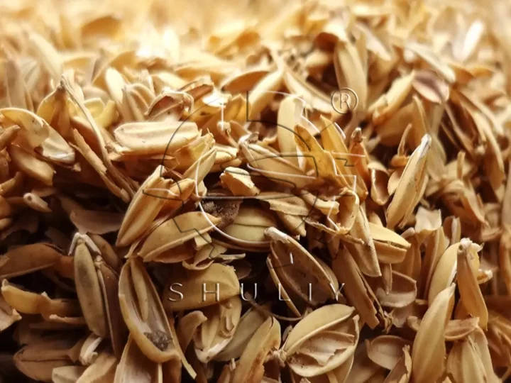 rice husk